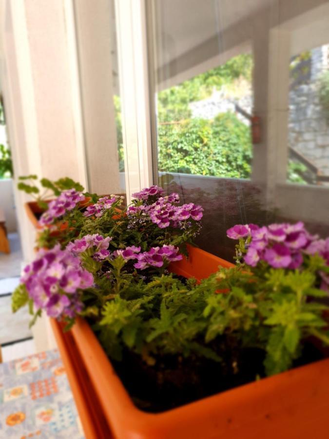 Apartament Adriatic