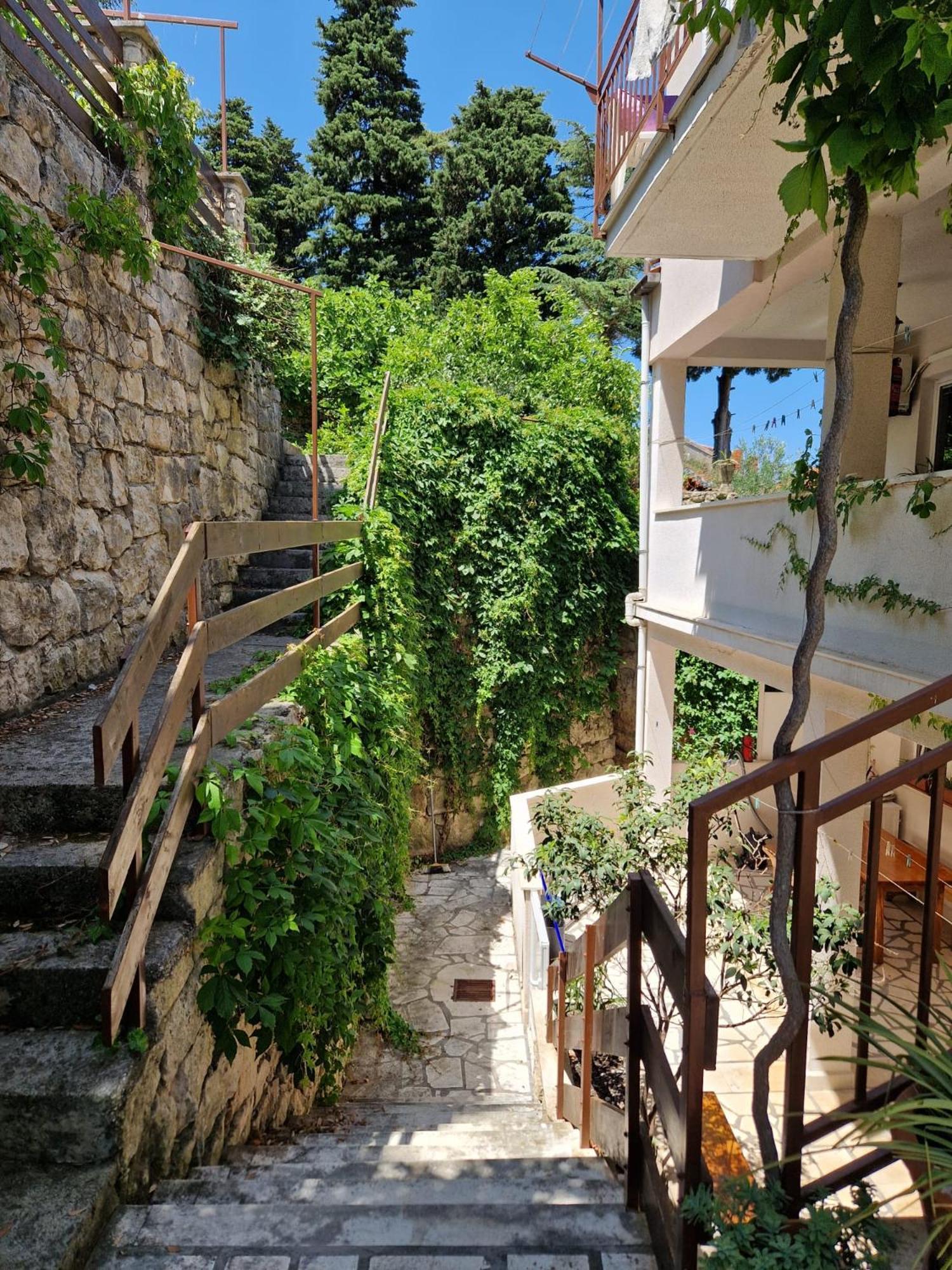 Adriatic Korčula